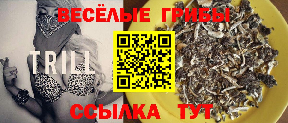 Псилоцибиновые грибы MAGIC MUSHROOMS Ивантеевка
