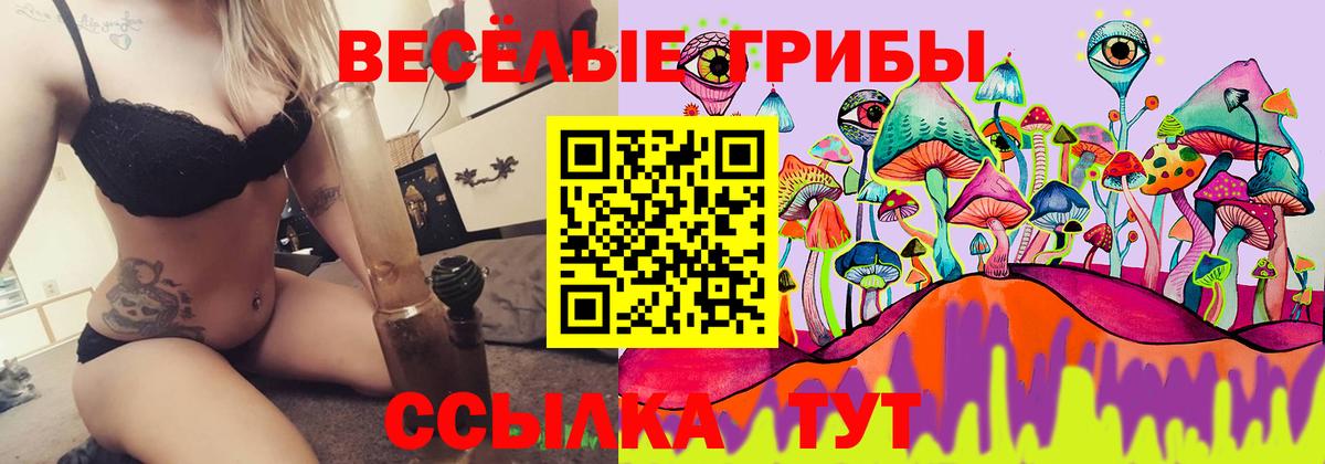 Псилоцибиновые грибы Psilocybine cubensis  Псилоцибиновые грибы Psilocybe  Вход с VPN  Ивантеевка 